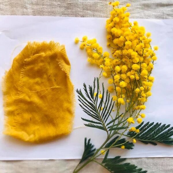 Formation Initiation à la teinture végétale - 5 jours Formation Initiation à la teinture végétale - 5 jours