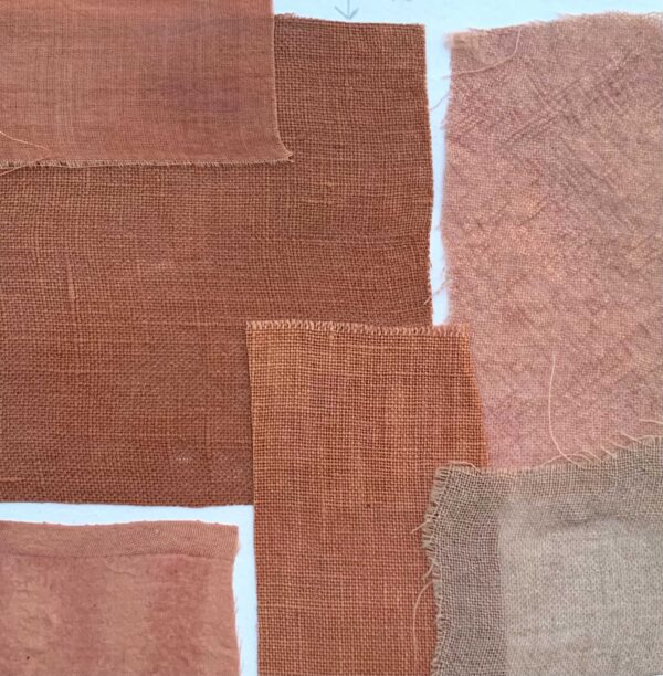 Avocat - 100g Avocat - 100g