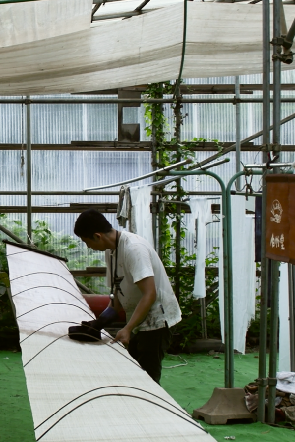 DSCF0154 5 DSCF0154 5